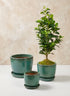 Laos Teal Glazed Ceramic Planter Decor Jamali Garden