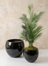 Grand Bowl Clay & Ceramic Planter, Mesquite Black Decor Jamali Garden