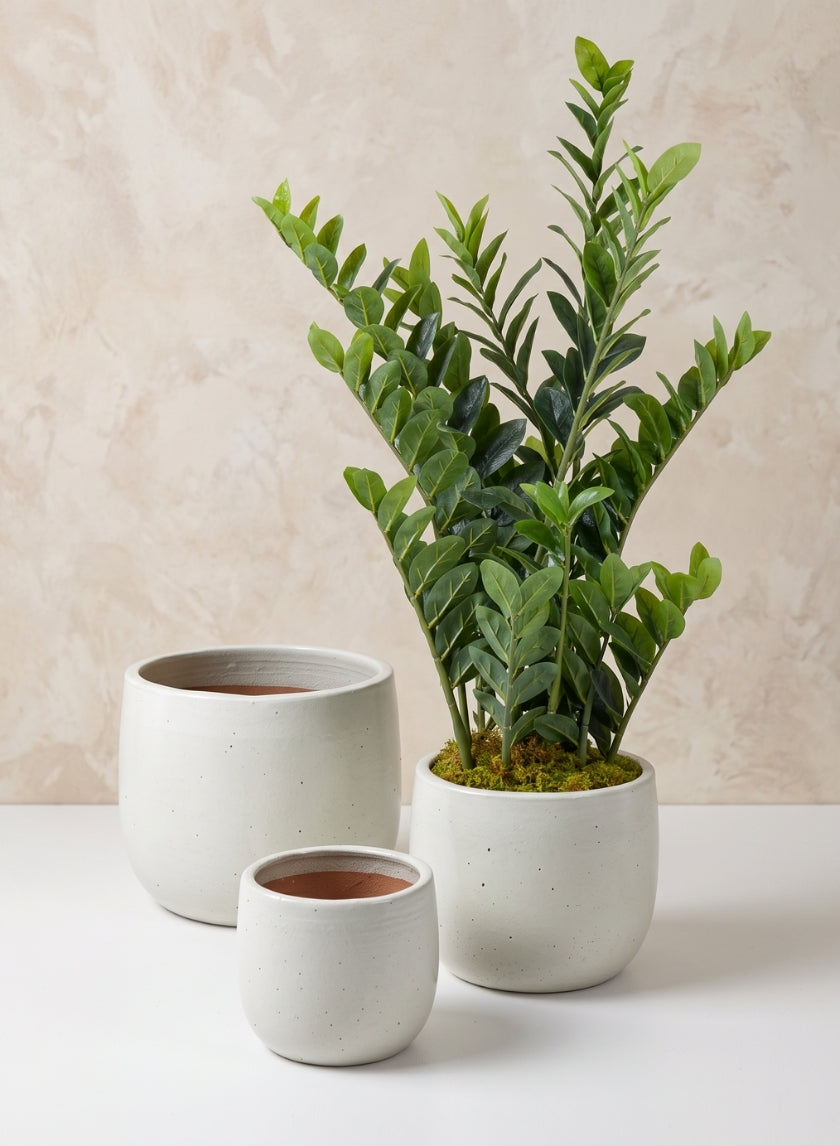 Deck Clay &amp; Ceramic Planters, Yucatan White Decor Jamali Garden