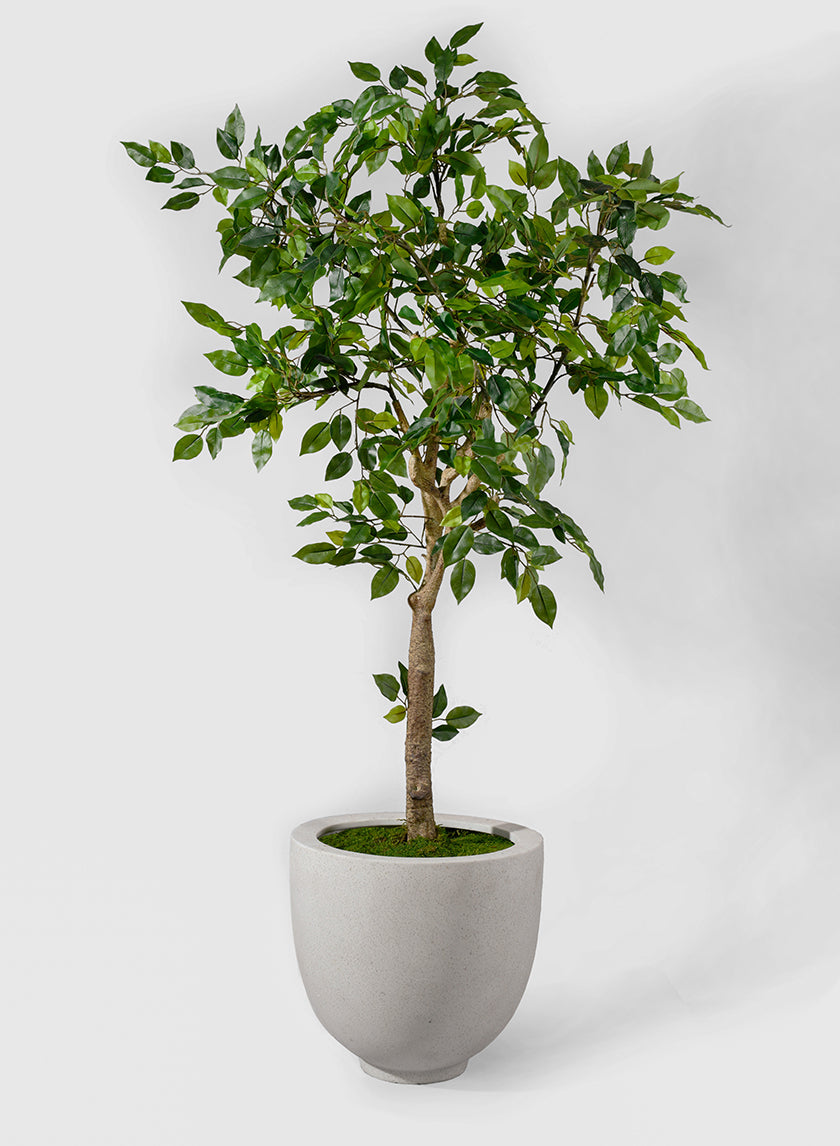 artificial indoor trees and plants 54'' Faux Tree Primrue