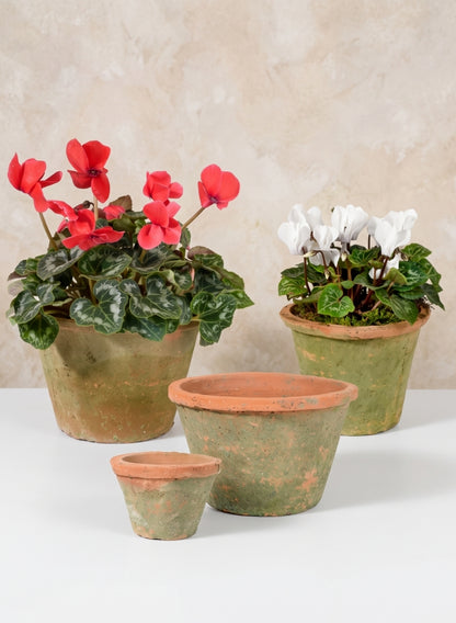 Mossed Redstone Standard Clay Pots