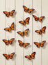 3.5in Long Orange Monarch Butterflies, Set of 12 Decor Jamali Garden