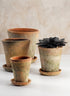 Mossed Redstone Rose Pot With Saucer Decor Jamali Garden