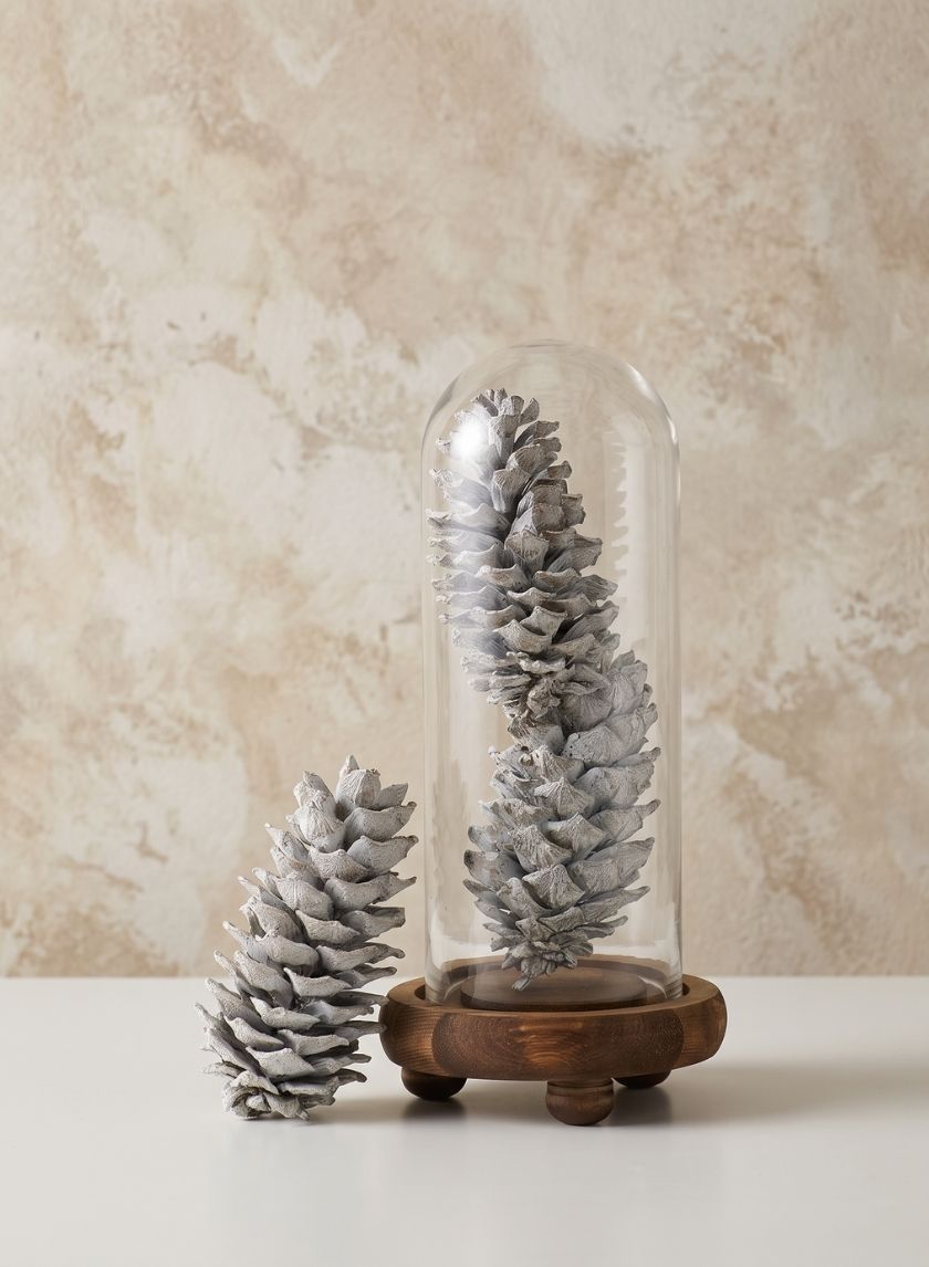 5in / 5.5in Long White-Washed Pinecones, Case of 3 Decor Jamali Garden