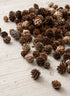 1in Long Natural Mini Pine Cones Decor Jamali Garden