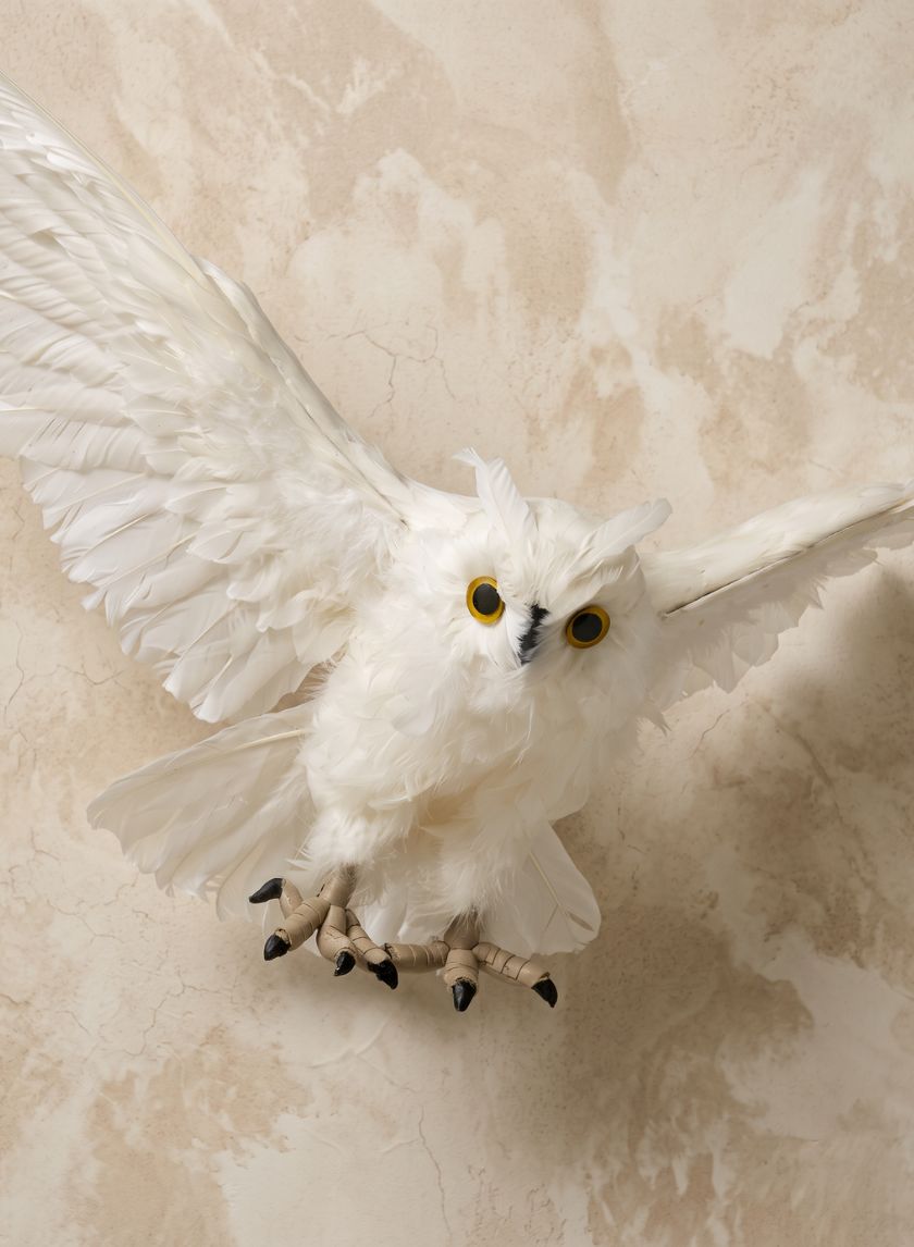 18in Long Flying White Owl
