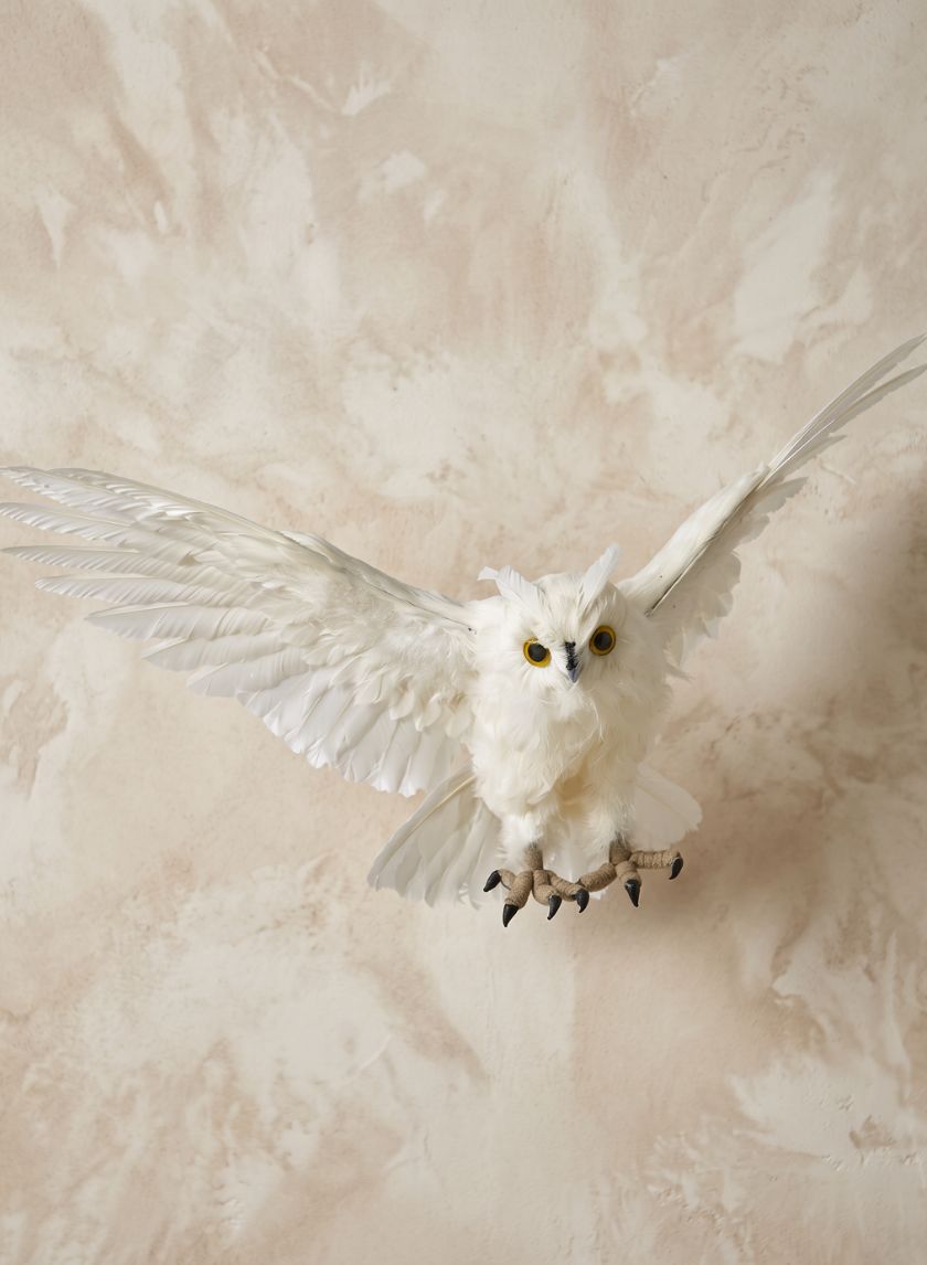 28in Flying White Owl Decor Jamali Garden