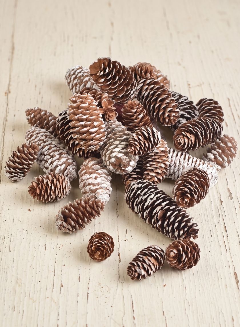 2.50in / 5in Long Glitter Frost Natural Pine Cones Bag Decor Jamali Garden