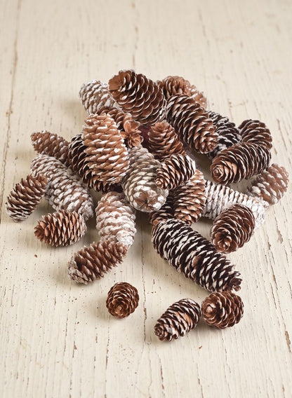 2.50in / 5in Long Glitter Frost Natural Pine Cones Bag Decor Jamali Garden