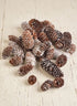 2.50in / 5in Long Glitter Frost Natural Pine Cones Bag Decor Jamali Garden