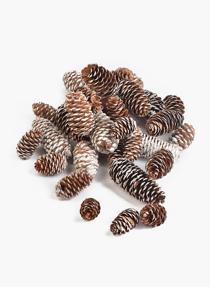 2.50in / 5in Long Glitter Frost Natural Pine Cones Bag Decor Jamali Garden