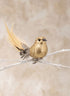 6in Long Gold Foil & Feather Bird With Clip, Set of 12 Decor Jamali Garden