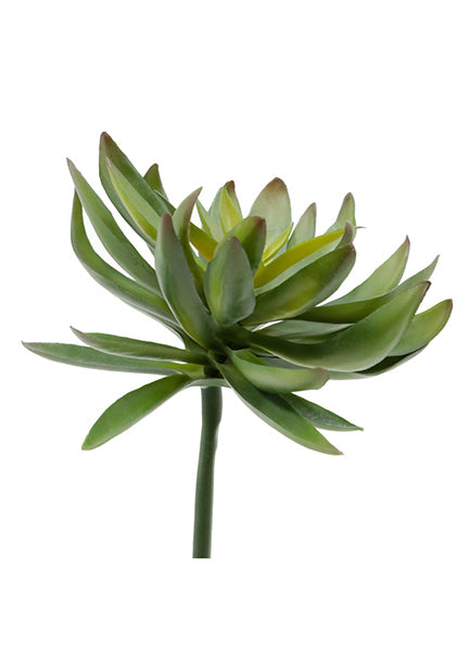 succulent picks 7 1/2in Long Chick Succulent Pick, Case of 12