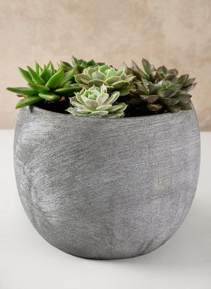Iquitos Venetian Grey Ceramic Pot Decor Jamali Garden
