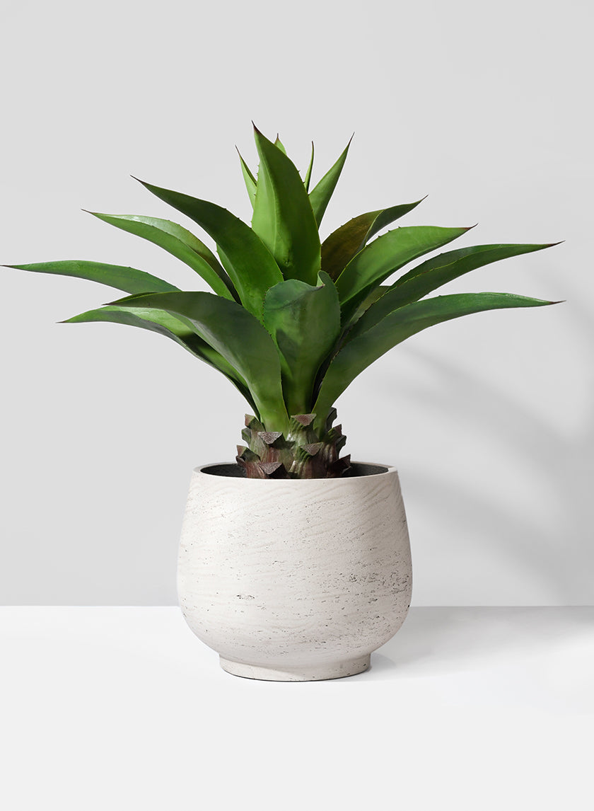 artificial succulents in grey pots Buy 11 1/2in Round Grey Cement Pot