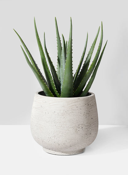 where to buy white aloe vera plant 18in Faux Aloe Plant | Potted Plants