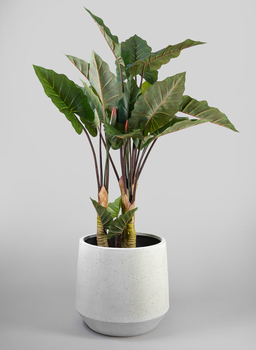 white rocks in potted plants Santa Fe Sand Rock Antique White Planter – Jamali Garden