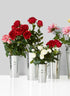 Zinc French Vases With Round Handles Decor Jamali Garden