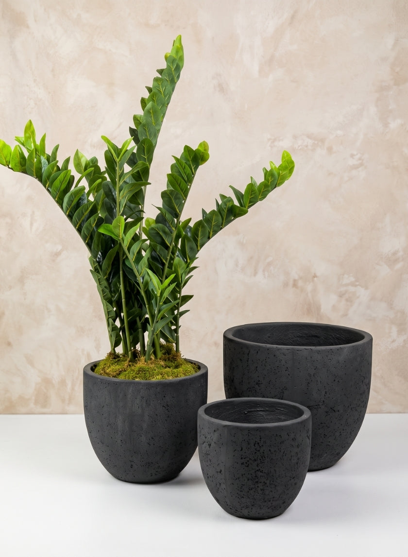 Yerevan Black Cement Stone Egg Pot Decor Jamali Garden
