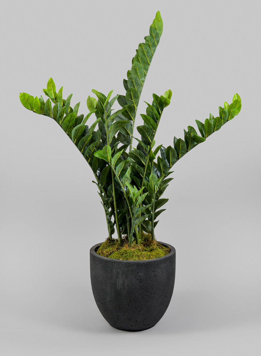 large black pot for plants Yerevan Black Cement Stone Egg Pot – Jamali Garden