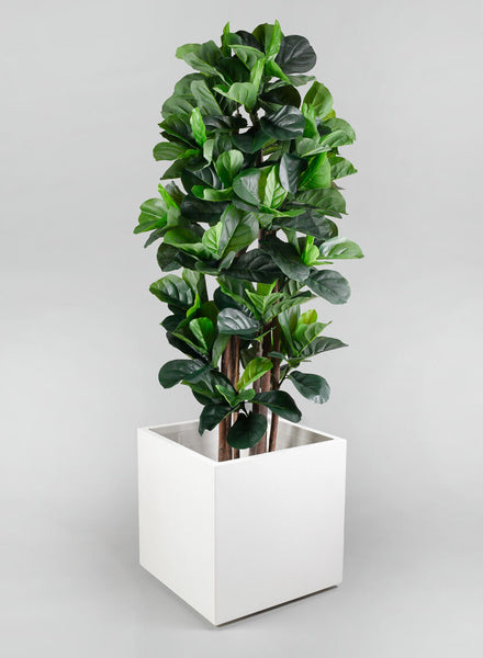 9DF3QAZA__2__LH82_36952_grande