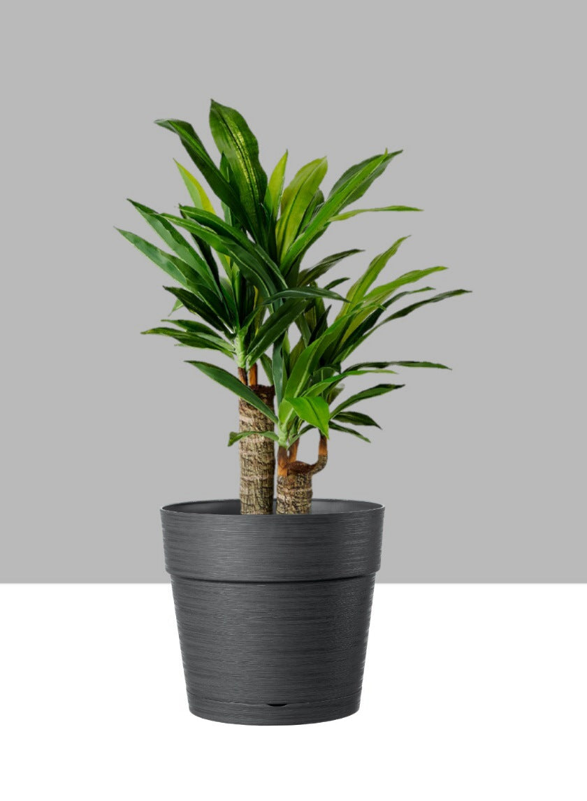 large indoor planter with saucer Loft Black Round Pot With Saucer