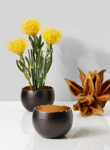 Two black hammered metal planters with yellow flowers and a dried plant on a white surface.