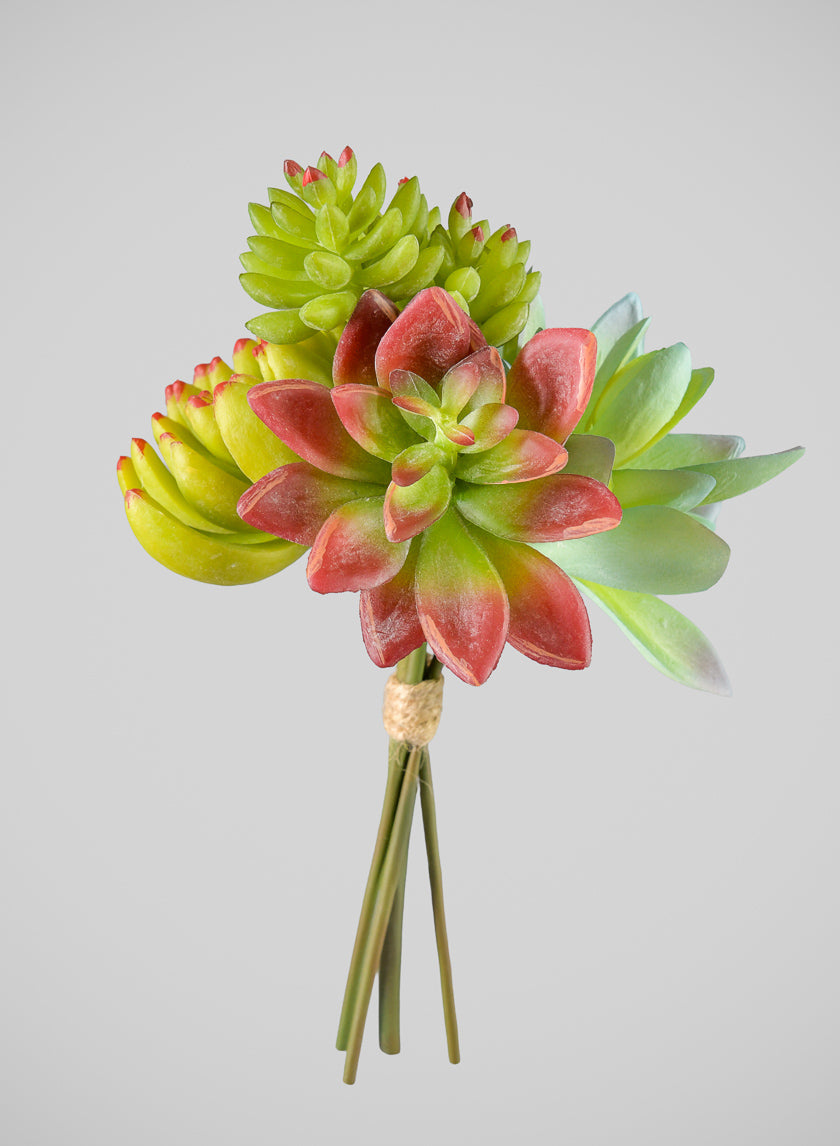 7in Long Red and Green Echeveria Spray, Case of 12 Decor Jamali Garden
