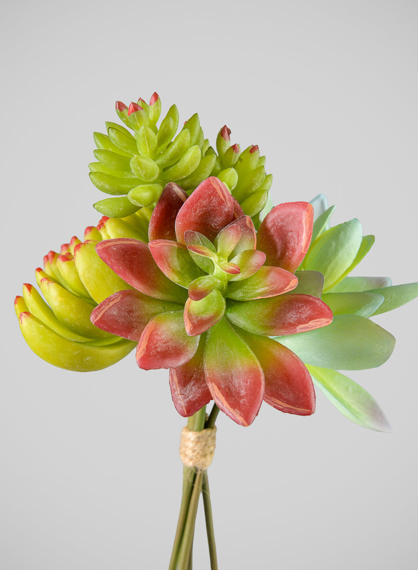 7in Long Red and Green Echeveria Spray, Case of 12 Decor Jamali Garden