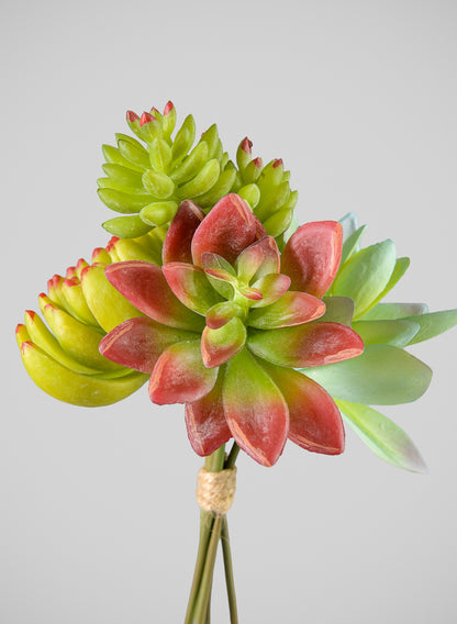 7in Long Red and Green Echeveria Spray, Case of 12 Decor Jamali Garden