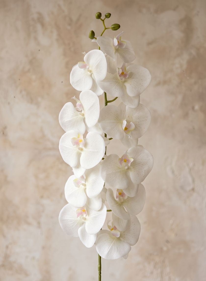 55in Long Real Touch White Glitter Phalaenopsis Orchid Stem, Bundle of 12 Decor Jamali Garden