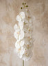 55in Long Real Touch White Glitter Phalaenopsis Orchid Stem, Bundle of 12 Decor Jamali Garden