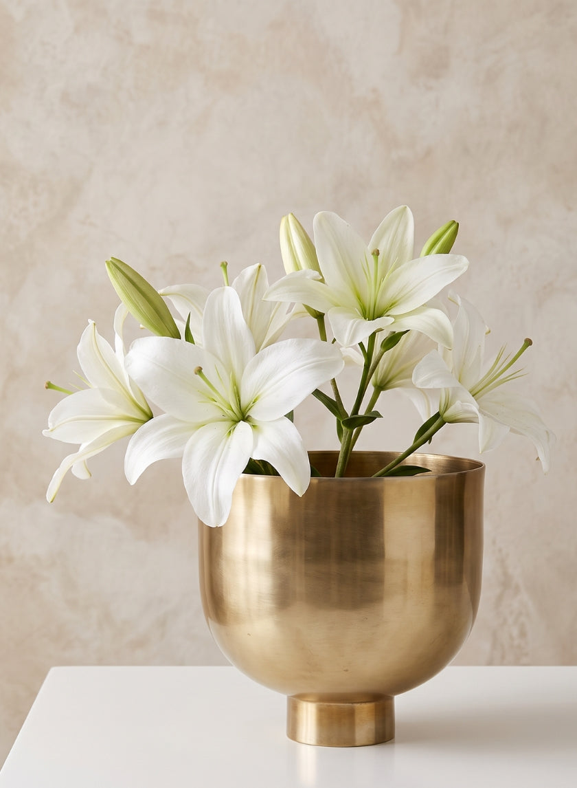 8 1/2 in Gold Compote Decor Jamali Garden