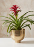 10in Wide Gold Compote Aluminum Bowl Decor Jamali Garden