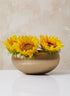 8in Wide Gold Iron Bowl Decor Jamali Garden
