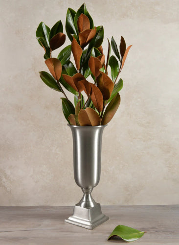 Decorative plant in a silver urn on a wooden surface with a beige background