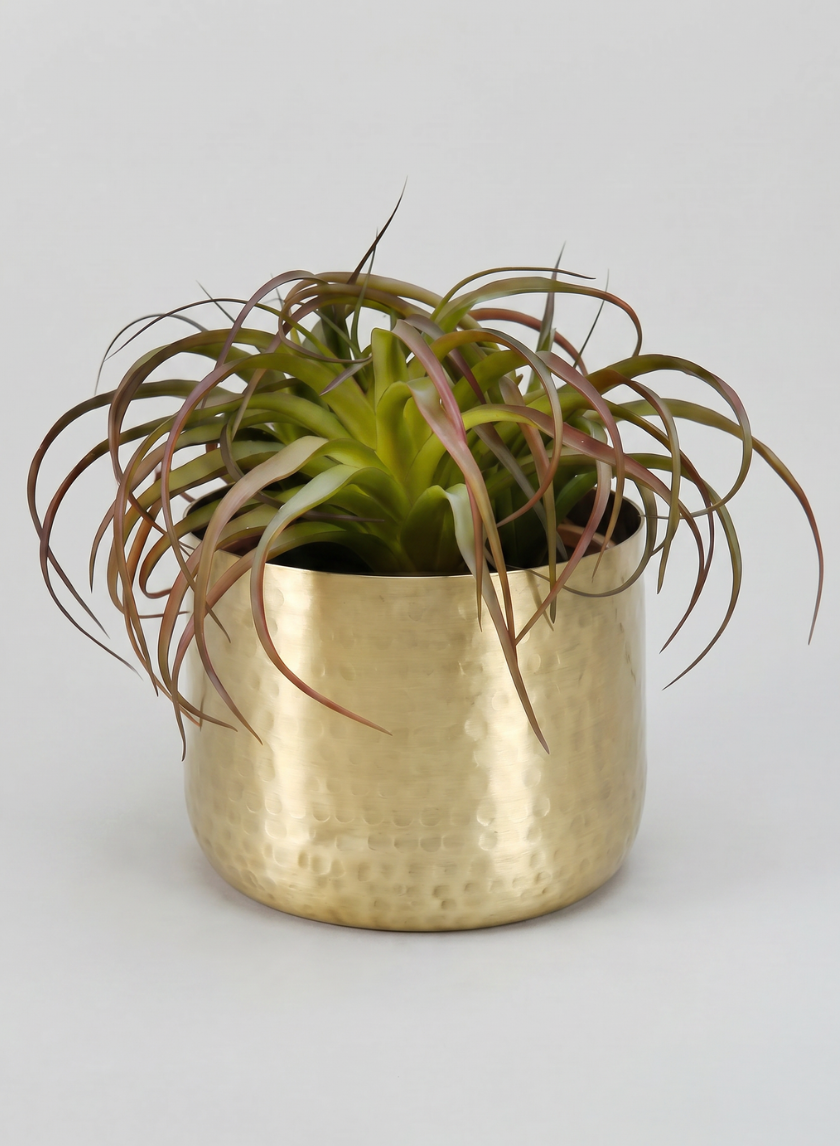 Mysore Brass Look Aluminum Pot Decor Jamali Garden