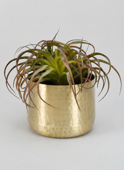 Mysore Brass Look Aluminum Pot Decor Jamali Garden