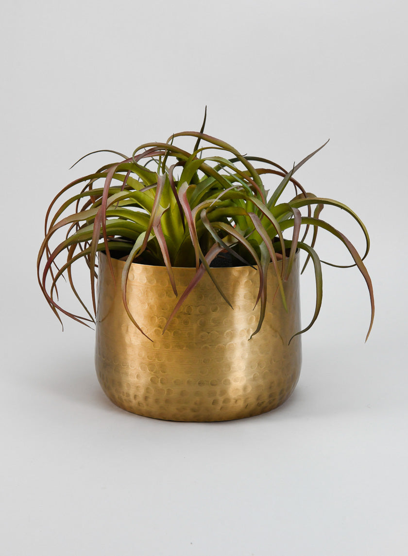 vintage brass plant pots Mysore Brass Look Aluminum Pot – Jamali Garden