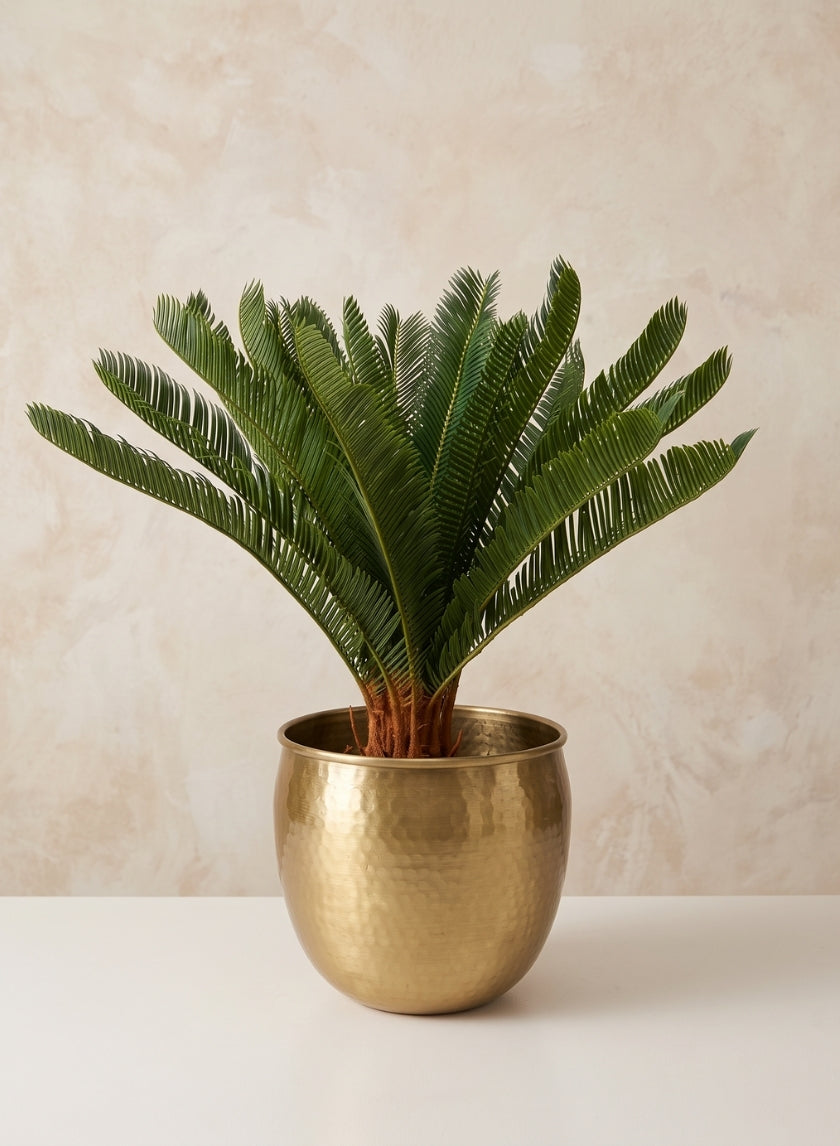 10.75in Wide Devdas Brass Look Aluminum Indoor Garden Pot, Large Decor Jamali Garden