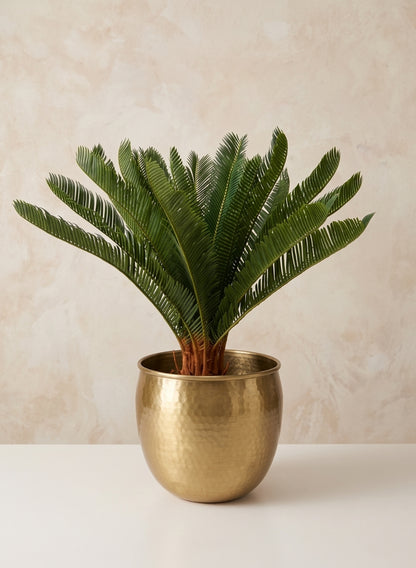 10.75in Wide Devdas Brass Look Aluminum Indoor Garden Pot, Large Decor Jamali Garden