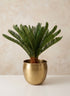 10.75in Wide Devdas Brass Look Aluminum Indoor Garden Pot, Large Decor Jamali Garden