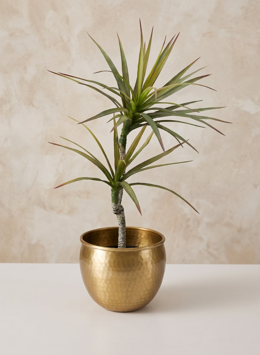 9in Wide Devdas Brass Look Aluminum Indoor Garden Pot, Medium Decor Jamali Garden
