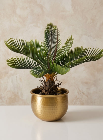 6.75in Wide Devdas Brass Look Aluminum Indoor Garden Pot, Small Decor Jamali Garden