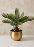 6.75in Wide Devdas Brass Look Aluminum Indoor Garden Pot, Small Decor Jamali Garden