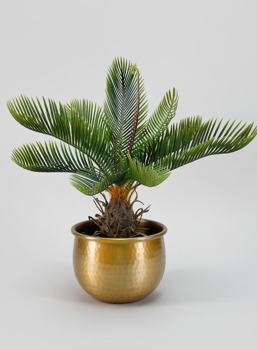 Devdas Brass Look Aluminium Indoor Garden Pot