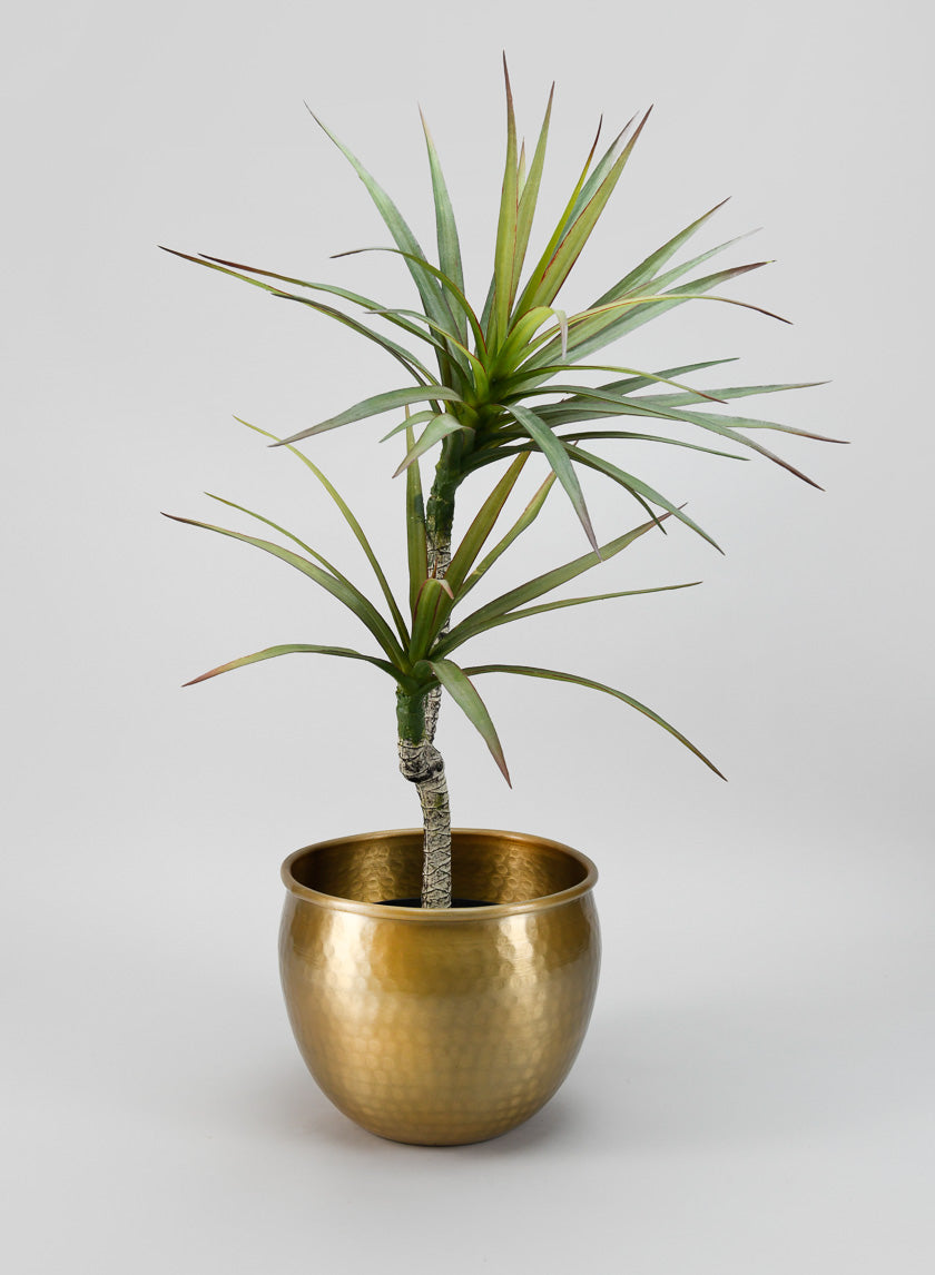 Devdas Brass Look Aluminum Indoor Garden Pot Decor Jamali Garden