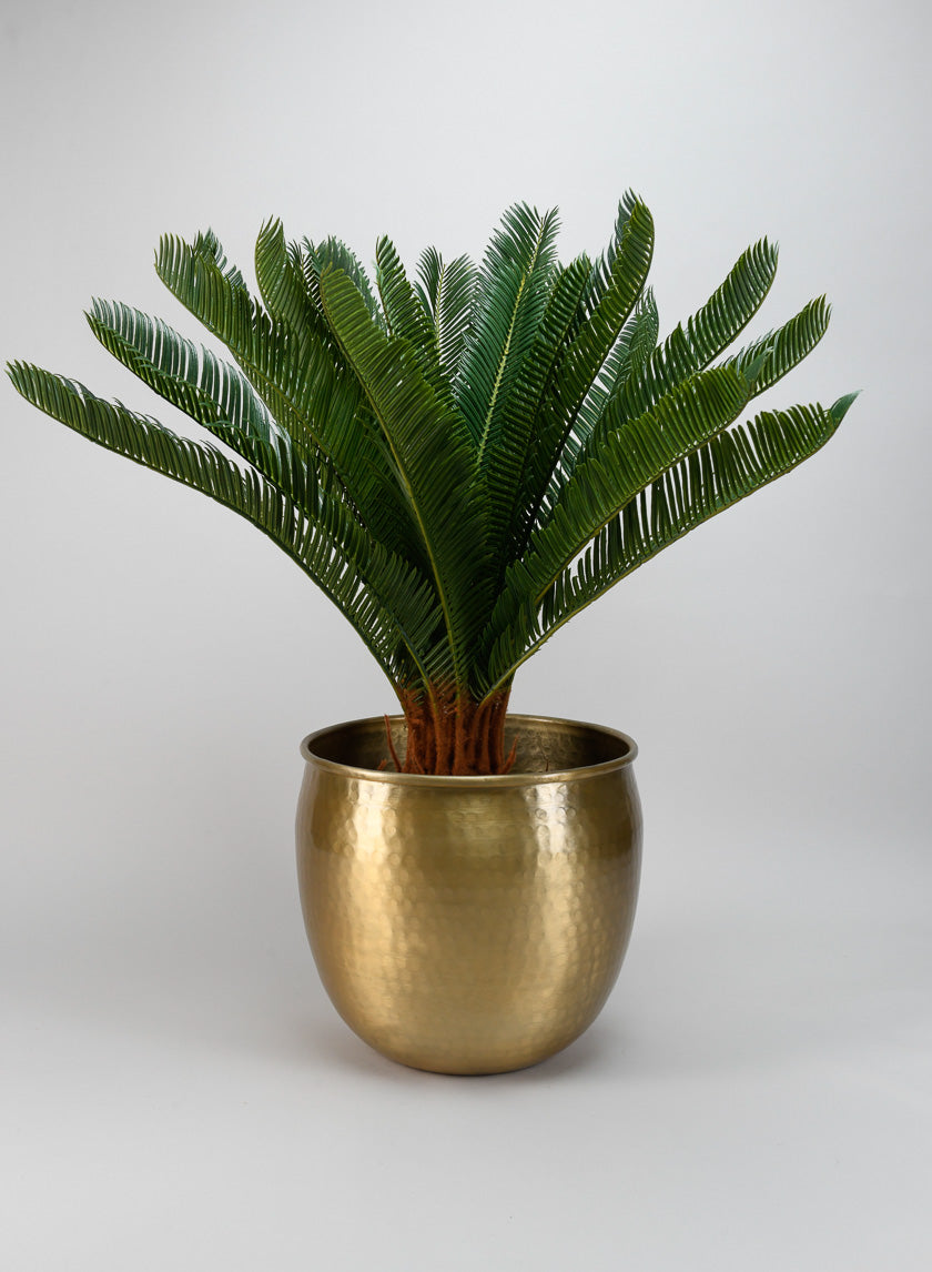 Devdas Brass Look Aluminum Indoor Garden Pot Decor Jamali Garden