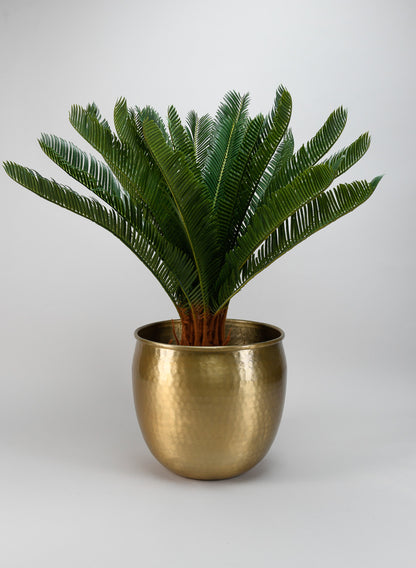 Devdas Brass Look Aluminum Indoor Garden Pot Decor Jamali Garden