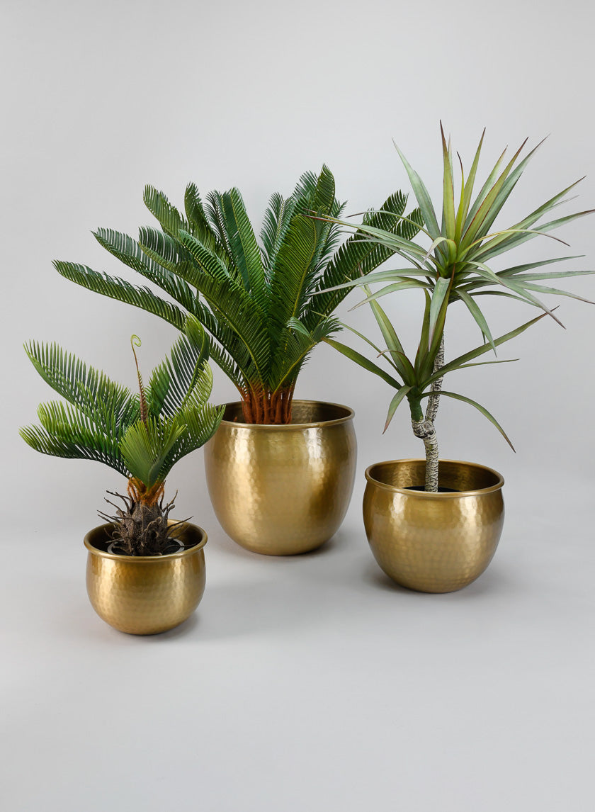 Devdas Brass Look Aluminium Indoor Garden Pot